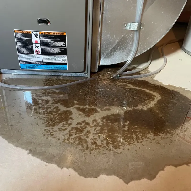 Appliance Leak Cleanup in Hazel Green, AL